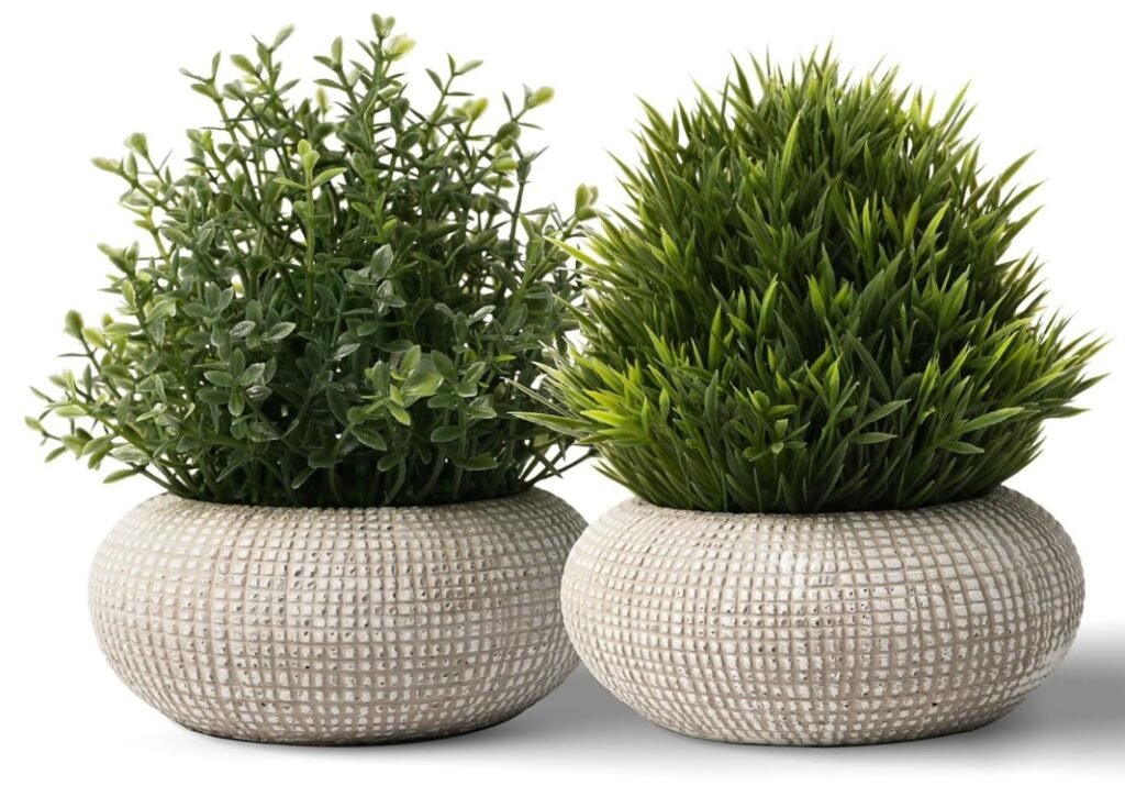 plante salle de bain 3