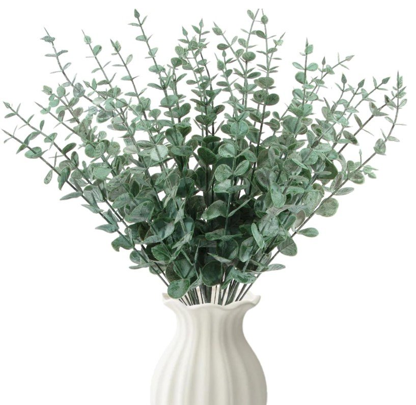 plante salle de bain 5